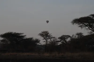 DSC_3739 (Large).JPG